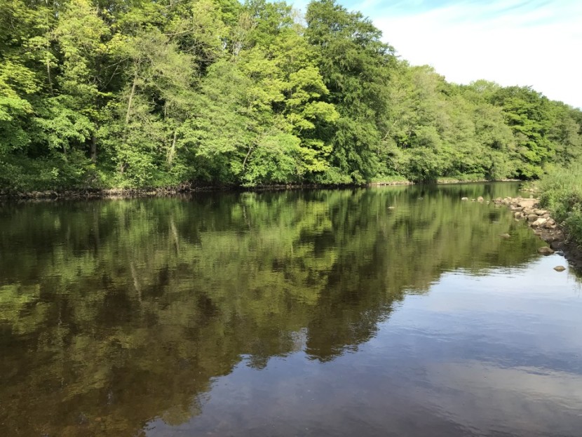 High Coniscliffe on the River Tees - ND from Coxhoe
